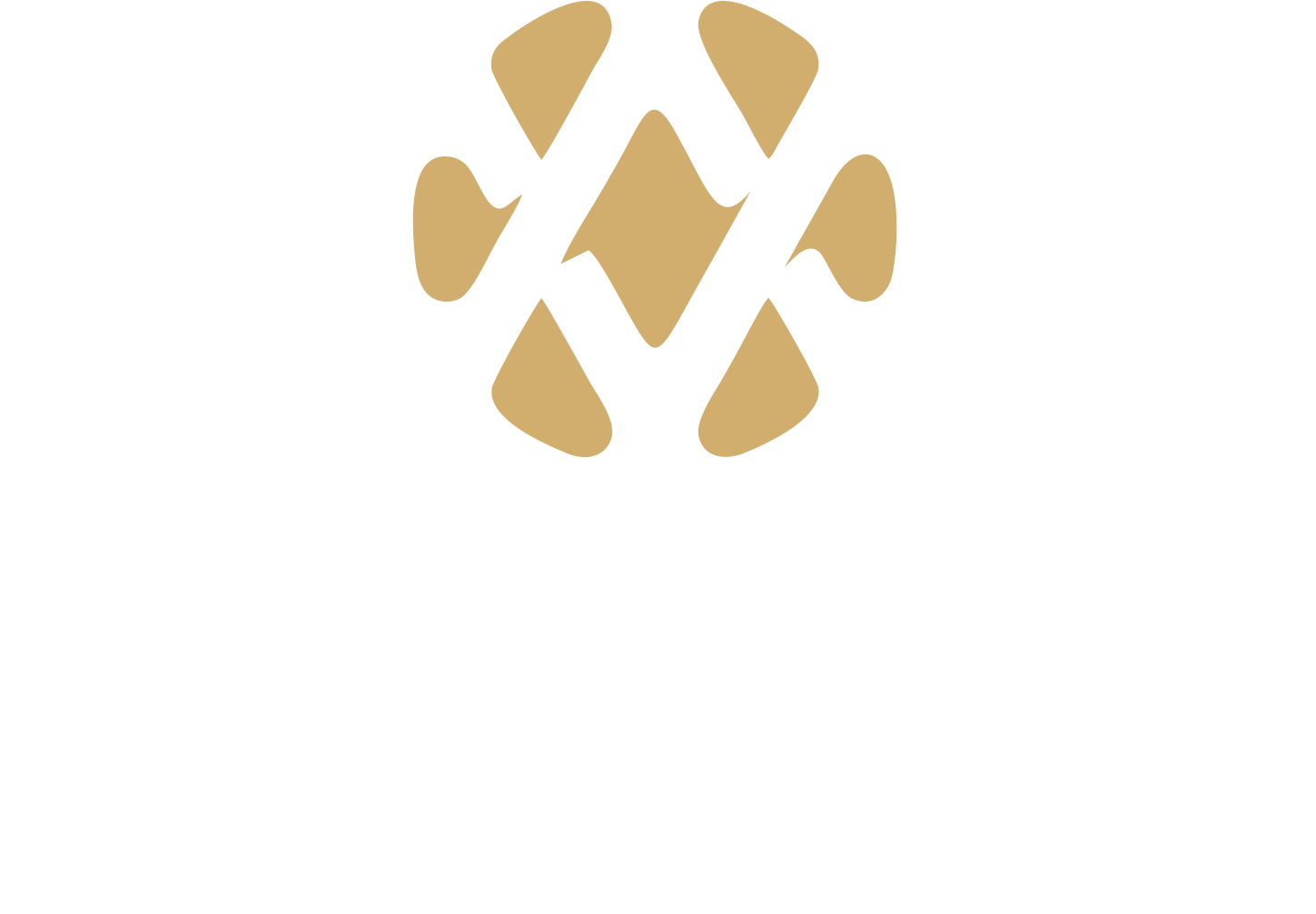 Devasya Logo copy new